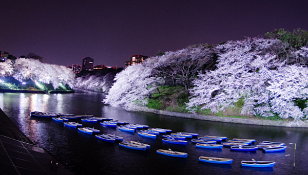 東京-千島.png