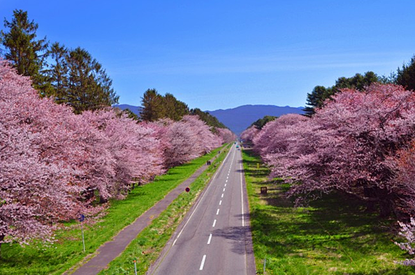 北海道.png