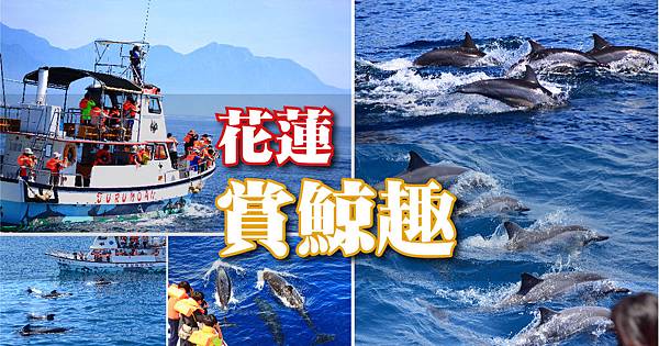 1200-04-09.jpg 1200-04-09.jpg