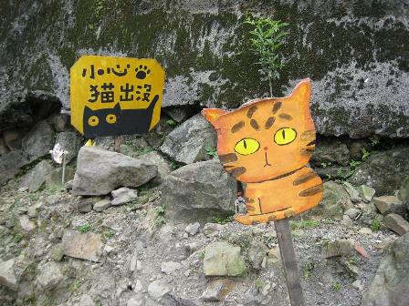 IMG_4274.jpg IMG_4274.jpg