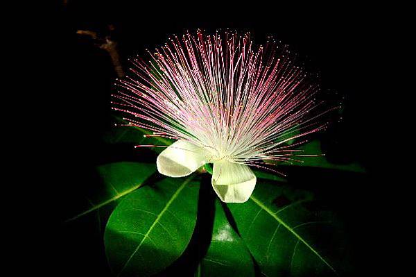 【小琉球三天兩夜】超充實行程大攻略!超美小琉球住宿推薦! 【小琉球三天兩夜】超充實行程大攻略!超美小琉球住宿推薦!