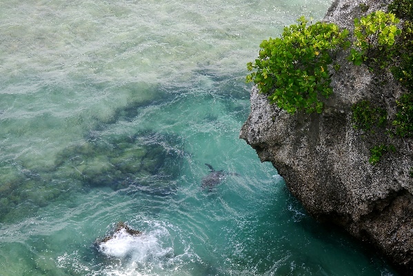 【小琉球三天兩夜】超充實行程大攻略!超美小琉球住宿推薦! 【小琉球三天兩夜】超充實行程大攻略!超美小琉球住宿推薦!