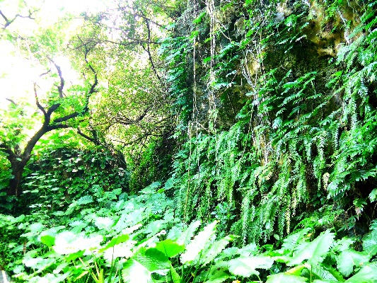 【小琉球三天兩夜】超充實行程大攻略!超美小琉球住宿推薦! 【小琉球三天兩夜】超充實行程大攻略!超美小琉球住宿推薦!