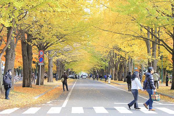 北海道大學.jpg