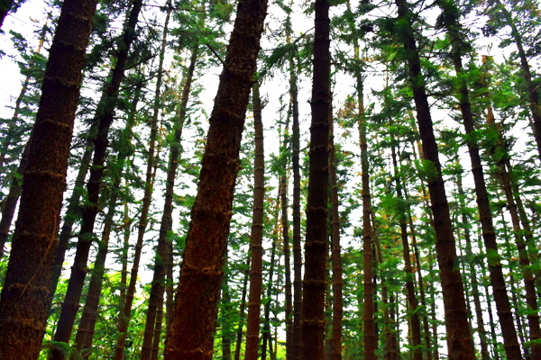 【台中景點】跟著Instagram 達人探訪台中打卡秘境!還沒去過就落伍囉啦! 【台中景點】跟著Instagram 達人探訪台中打卡秘境!還沒去過就落伍囉啦!