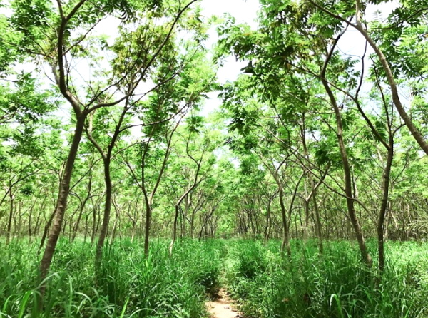【台中景點】跟著Instagram 達人探訪台中打卡秘境!還沒去過就落伍囉啦! 【台中景點】跟著Instagram 達人探訪台中打卡秘境!還沒去過就落伍囉啦!