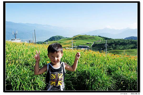 2012_0814六十石山賞金針花13