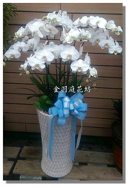 美しい花の画像 綺麗な庭花 美しい花の画像 綺麗な庭花