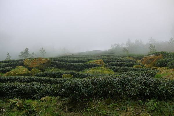 2012-06-29 暑假妖怪村之旅 220