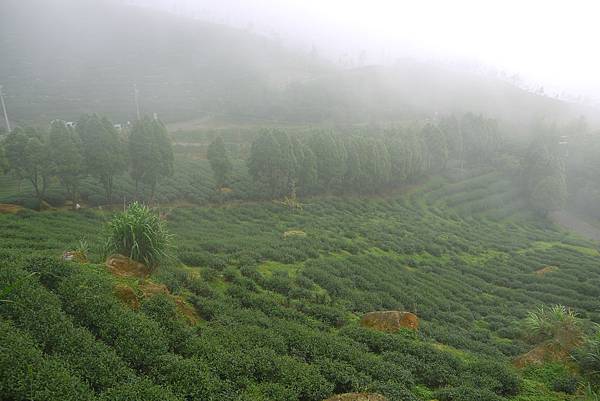 2012-06-29 暑假妖怪村之旅 224