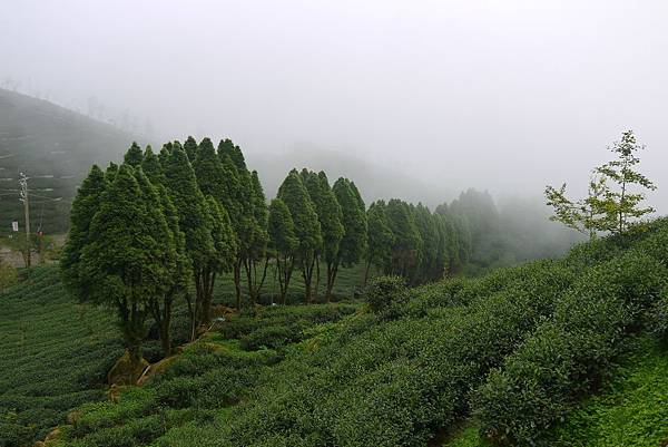 2012-06-29 暑假妖怪村之旅 228