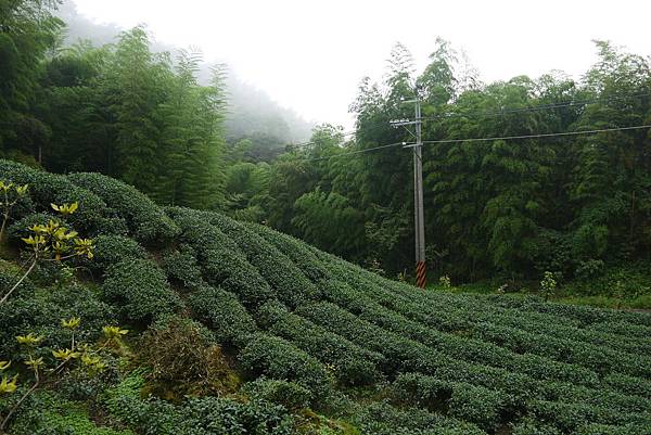 2012-06-29 暑假妖怪村之旅 254