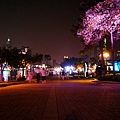 P1050005