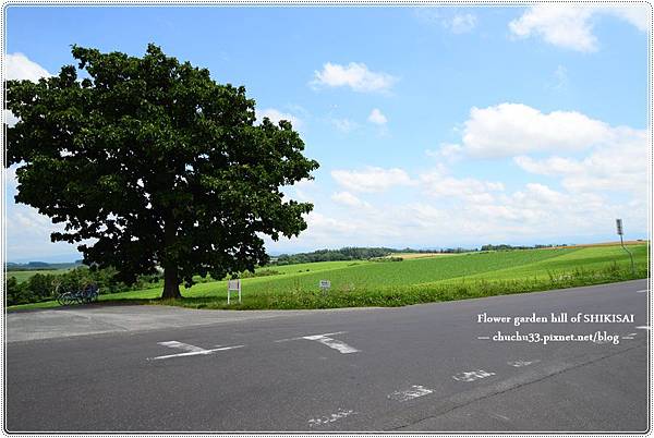 DSC_0298.JPG DSC_0298.JPG