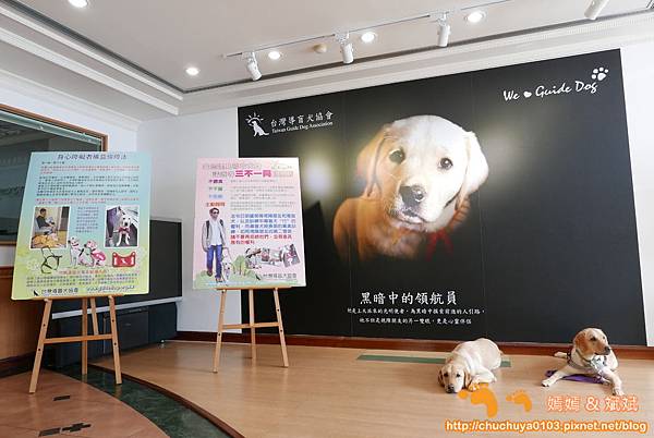 新北北投 台灣導盲犬協會taiwan Guide Dog Association 認識導盲犬做公益 嫣嫣 斌斌 旅遊札記 痞客邦
