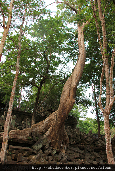 2013 Angkor