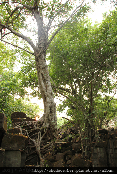 2013 Angkor