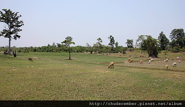 2013 Angkor