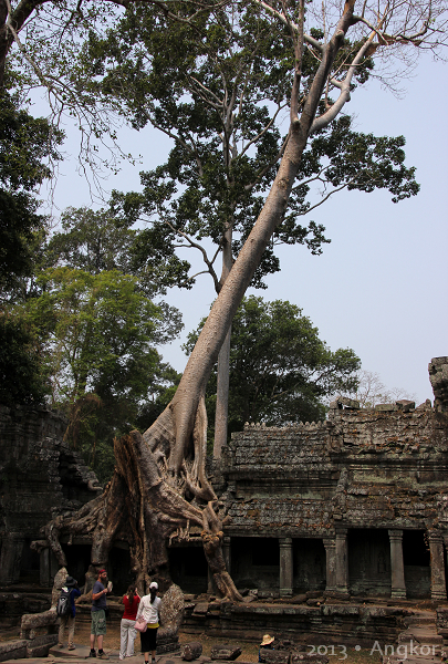 2013 Angkor