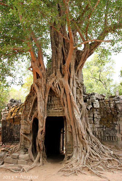 2013 Angkor