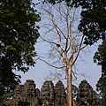 2013 Angkor