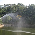 早晨的湖畔.JPG