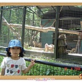 zoo 4.jpg