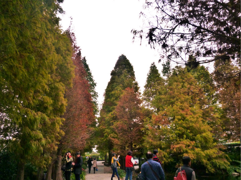 菁芳園休閒農場