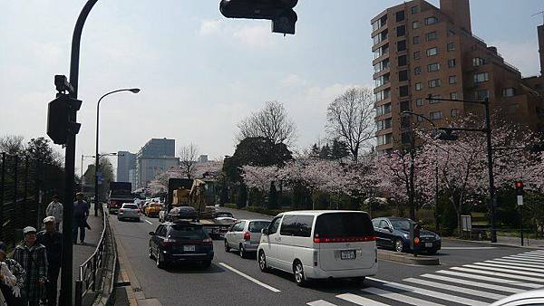 從千鳥ヶ淵走到半藏門地鐵站的路上