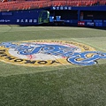 YOKOHAMA  BAYSTARS