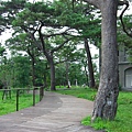 松園刻印行023.JPG