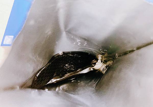 LINE_ALBUM_胸膜_221023_5.jpg 試用