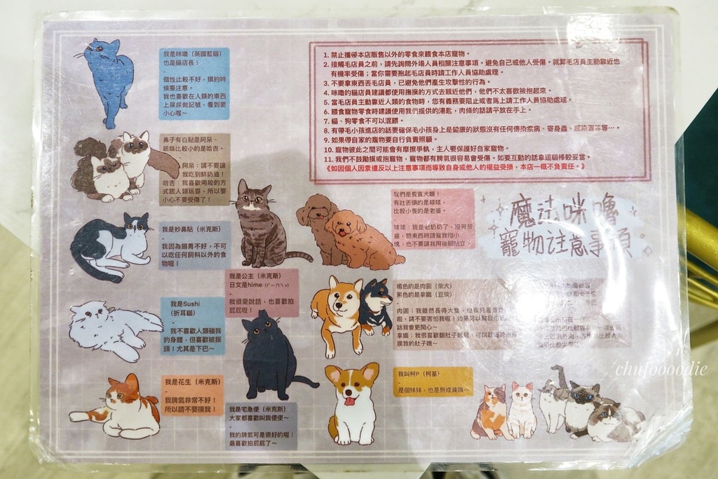 魔法咪嚕寵物咖啡館-多達20隻貓狗陪吃的台南寵物友善餐廳~精