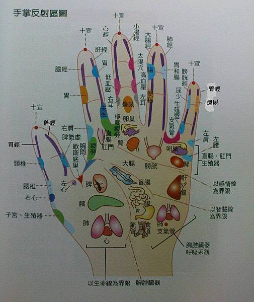 揉核桃具有保健功效