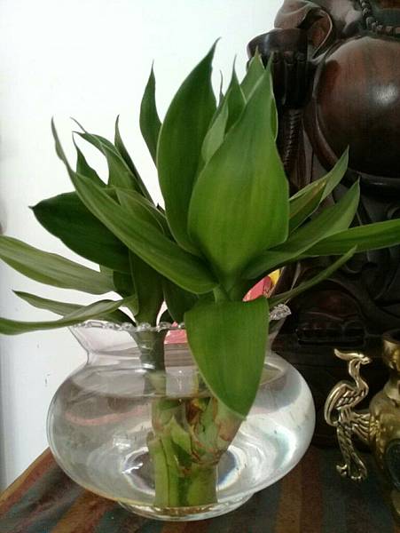 1507600100475.jpg297335785