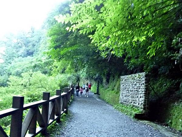 100/復興鄉/拉拉山