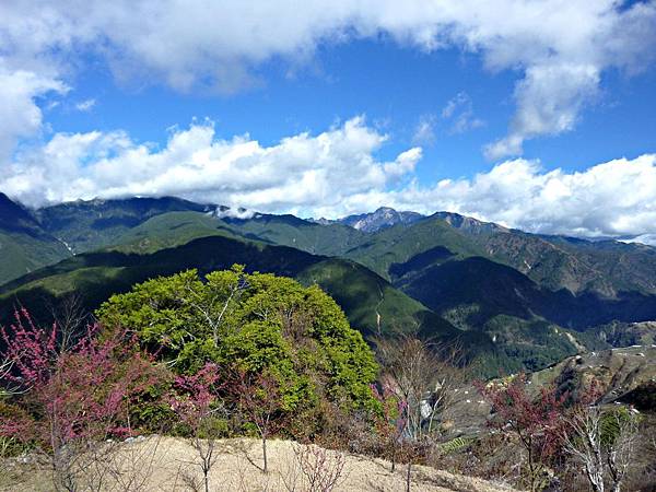 梨山