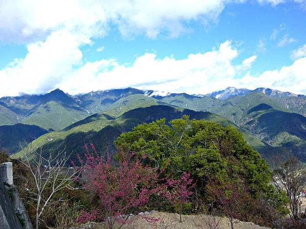 梨山