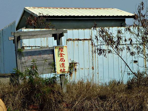 四草紅樹林綠色隧道