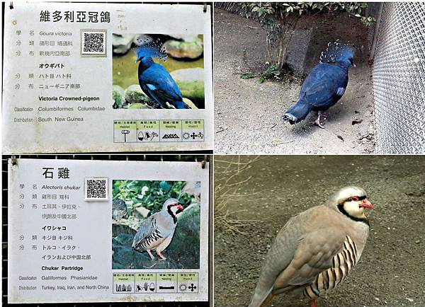 鳳凰谷鳥園生態園區