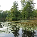 城堡花園