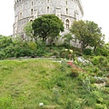 Windsor castle