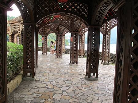 IMG_3784 IMG_3784