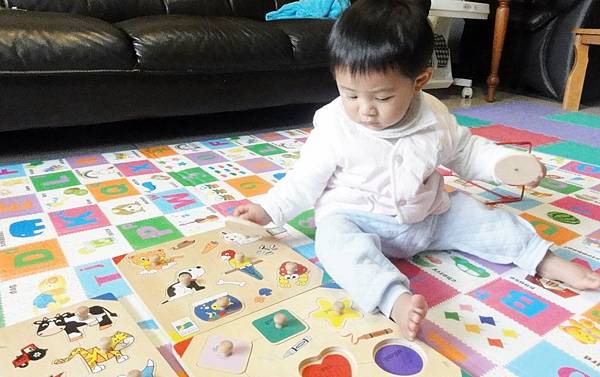 1Y1M- 手抓板-1.JPG