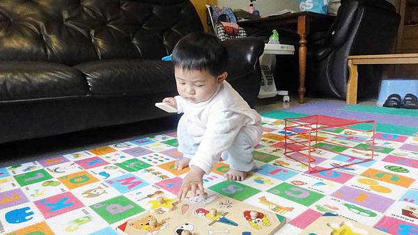 1Y1M- 手抓板-4.JPG