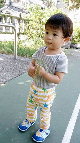 1Y8M-公園-2.JPG