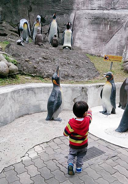 動物園-103-02-11-15.JPG