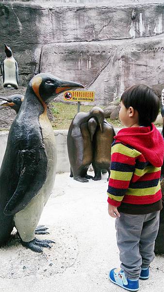 動物園-103-02-11-20.JPG