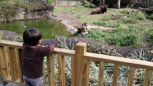 動物園-103-02-11-51.JPG