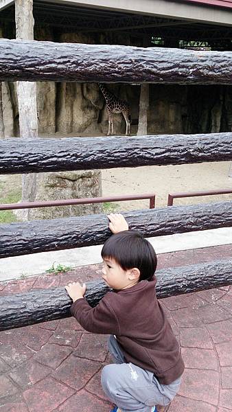 動物園-103-02-11-61.JPG